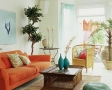 living-accesorizat