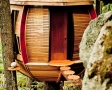 casuta-in-copac2