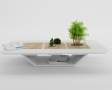 decor-cu-bonsai3