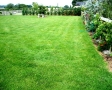 peluza-gazon-gradina