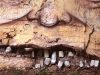 arhitectura-cu-graffiti