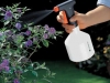 udarea_florilor_gradinii