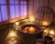 bai-cu-design-artistic-inspirat-din-salbaticie1