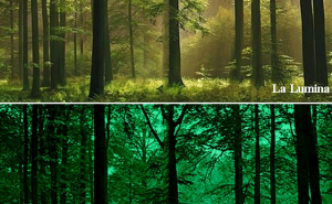 fototapet luminos